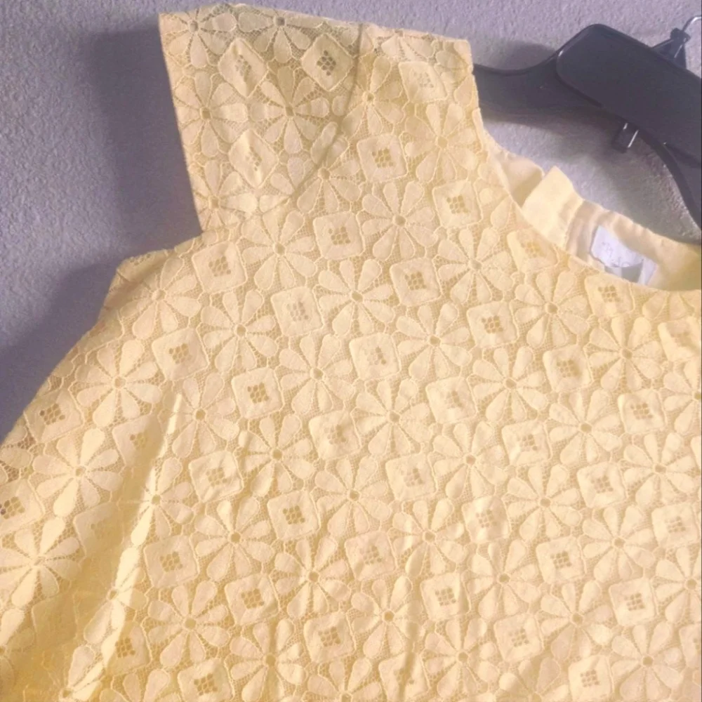 Place Lace Overlay Dress - Picture 6 of 10